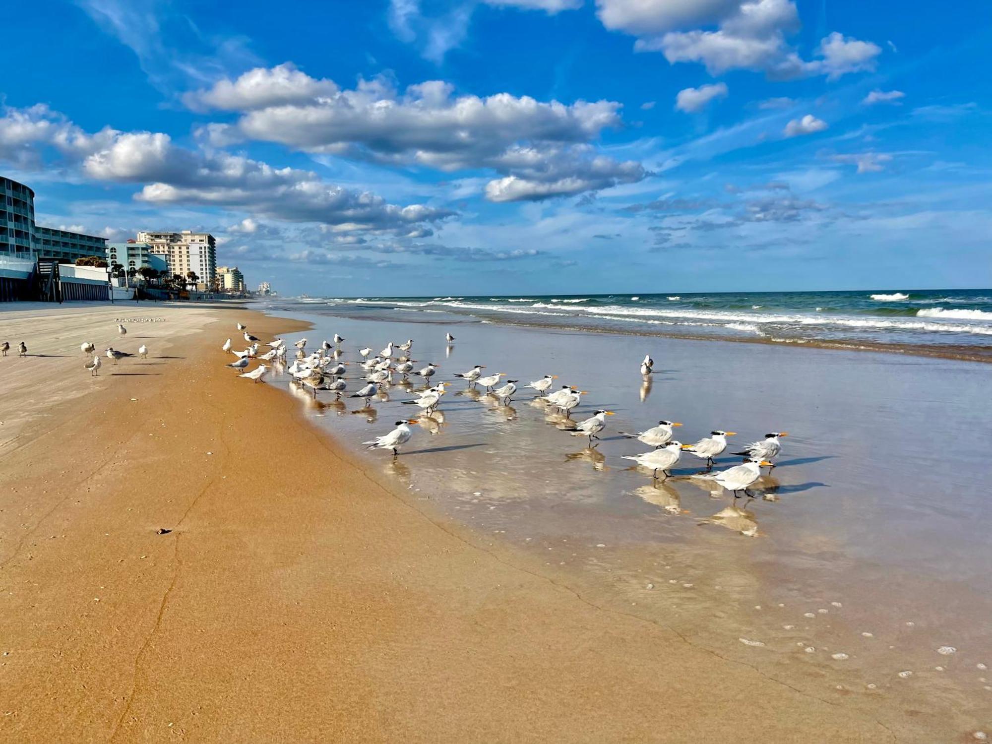 Sunset Studio Daytona Beachfront Экстерьер фото